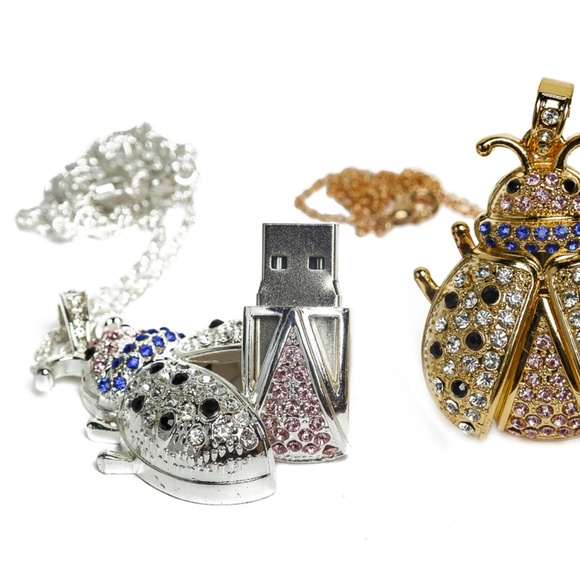 Ladybug Flash ((Pin) Drive - Picture 2 of 2